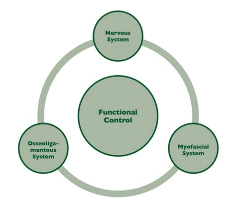 The Importance of the Functional Core - Pilates | Pilates, Pilates ...