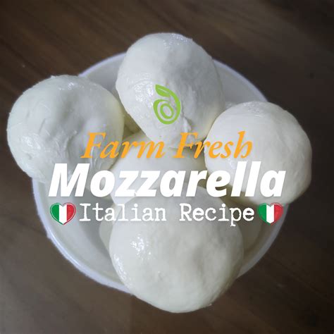 Fresh Mozzarella Cheese - 120 gms – Satva Farm