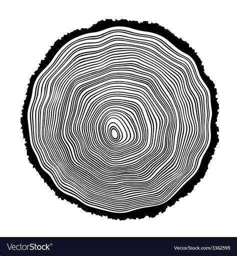 Image result for Tree Ring Cartoon