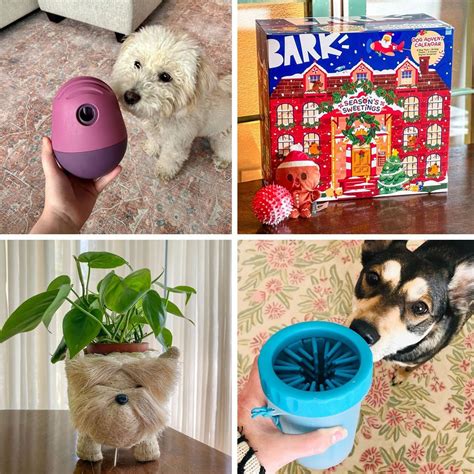 47 Fun Gifts for Dog Lovers, According to Pet Parents
