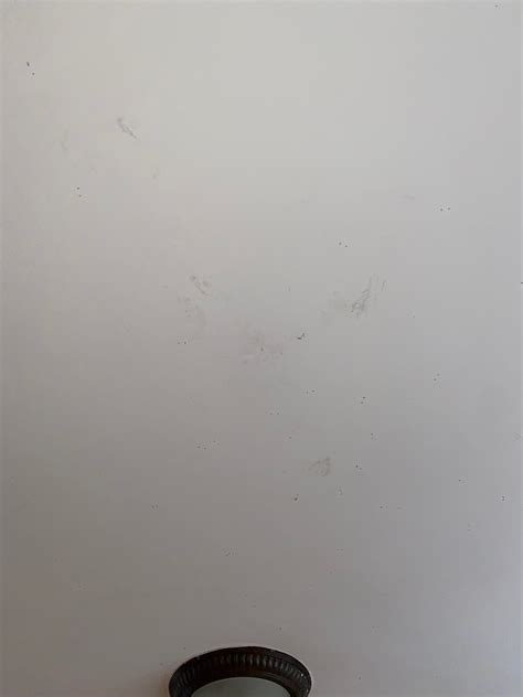 [Landlord-NC] Tenant left 1000s of staples/holes most in ceiling, but ...