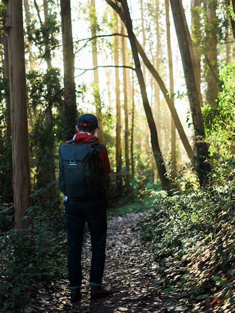 Walk-In Nature 的图像结果