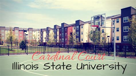I Moved Back Into College! (Cardinal Court ISU) - YouTube