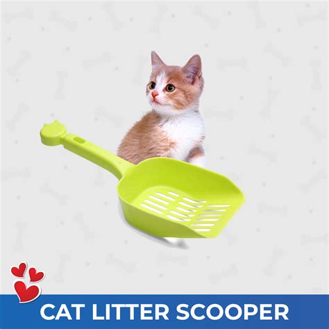 Cat Scoopable Cat Litter Scooper - Dogo Biscuits