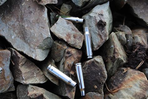 Cartouches de grande chasse | RWS Ammunition