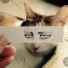 identify the like terms 12 a, 4bc, -8x, -8y, 7bc, 100a, 14bc, 12x, 7y ...