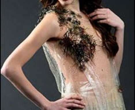 Image result for Dissolving Dress Disolving