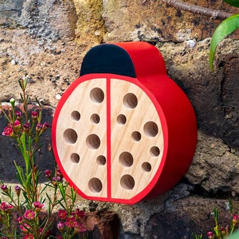 Lady Bird Insect Hotel And Bug House Garden Gift By The Happy Place