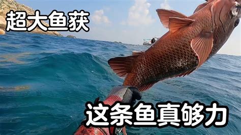 优享资讯 | 珊瑚礁鱼枯竭寻凶 盯上鱼枪打鱼 学者吁拒吃「穿孔鱼」