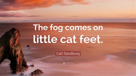 Carl Sandburg Quote: “The fog comes on little cat feet.”