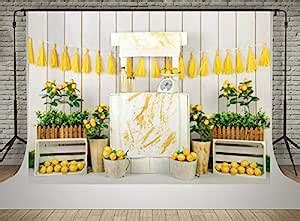 Kate Lemon Shop Backdrop Photography 7x5ft Kids Birthday Party ...