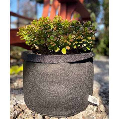 Smart Pots 3-Gallon Smart Pot Soft-Sided Container, India | Ubuy