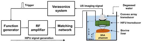 Real-Time HIFU Treatment Monitoring Using Pulse Inversion Ultrasonic ...