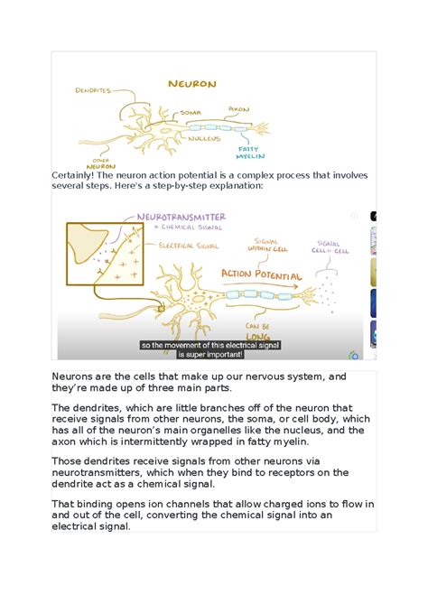 Action potential - Here's a step-by-step explanation: Neurons are the ...
