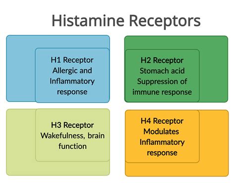 Histamine Take The Histamine Intolerance Test | Integrative Medicine