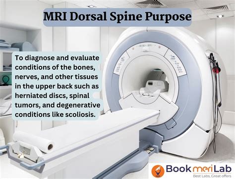 Lumbar Spine Scoliosis Mri