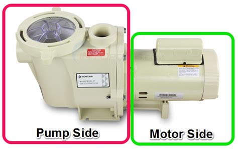 Image result for Replace Motor On Sta-Rite Pool Pump