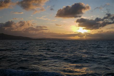 Picture Viewer Error Occurred 的图像结果