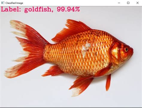 Image result for Python Computer Vision Cutter Size