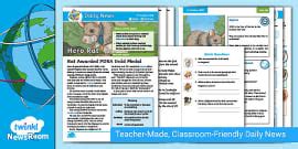 Rat Reading Comprehension Worksheet (teacher made) - Twinkl