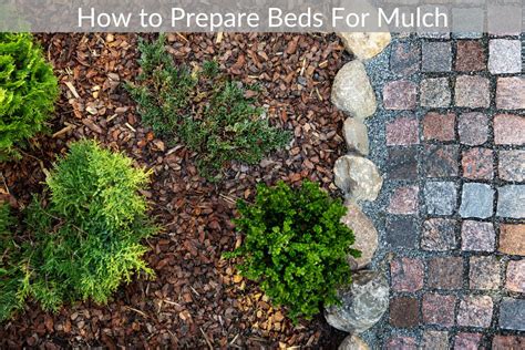 How to Mulch Beds 的图像结果