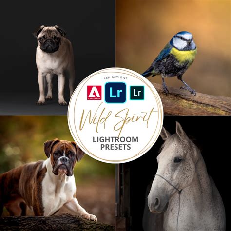 Wild Spirit Lightroom Presets for pet Wildlife Photographers - Video T ...