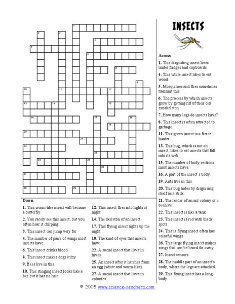 Insect Crossword Puzzle Worksheet for 3rd - 5th Grade | Lesson Planet