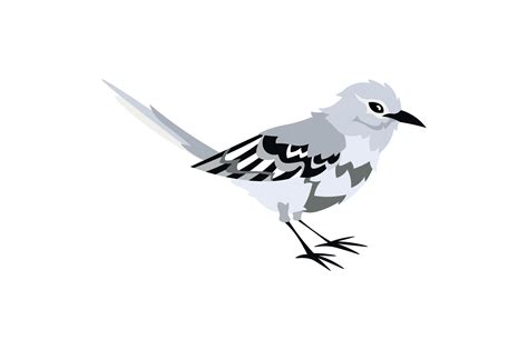 Mississippi State Bird - Northern Mockingbird SVG Cut file by Creative ...