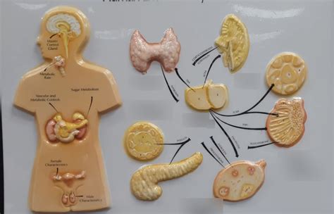 Structural Model of a Flat Structure 的图像结果