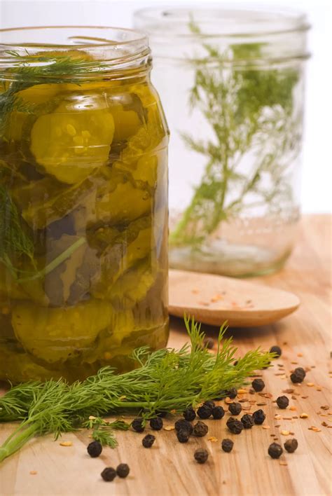 Making Salt Free Dill Pickles - Hacking Salt