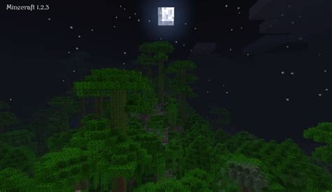 Image result for Minecraft Jungle Tutorial