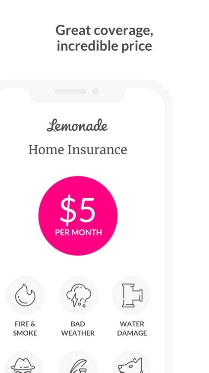 Lemonade Insurance Fraud 的图像结果