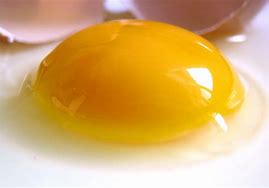 raw egg 的图像结果