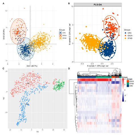 Functional Proteomic Profiling Analysis in Four Major Types of ...