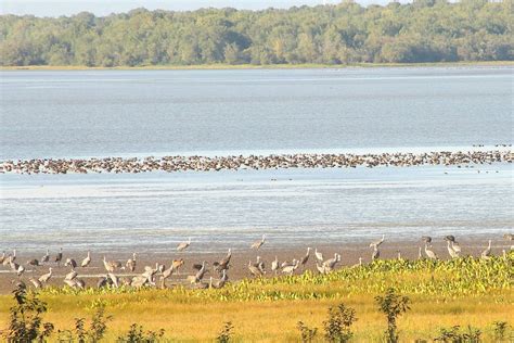 9 Fun Things to Do on Sauvie Island — Pines and Vines — Pines and Vines