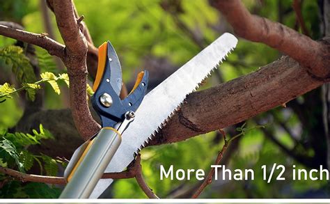 HECTARE Long Reach Pruner & Fruit Harvester - 10 ft Telescopic Aluminum ...