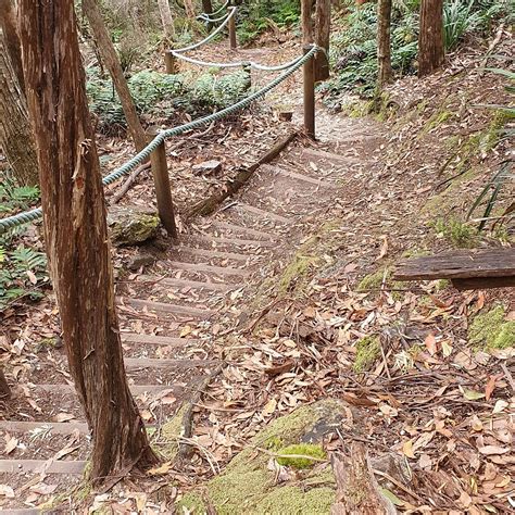 Leven Canyon Lookout Track (Nietta) - All You Need to Know BEFORE You Go