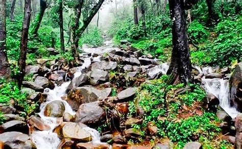 Chikkamane Homestay Chikmagalur - Resorts Chikmagalur