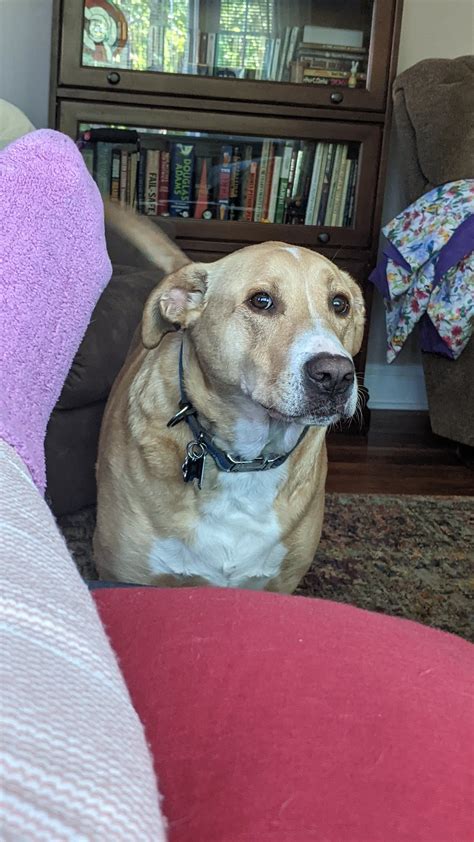 BERWYN PIZZA & FAMILY RESTAU - Restaurant Reviews, Photos & Phone ...