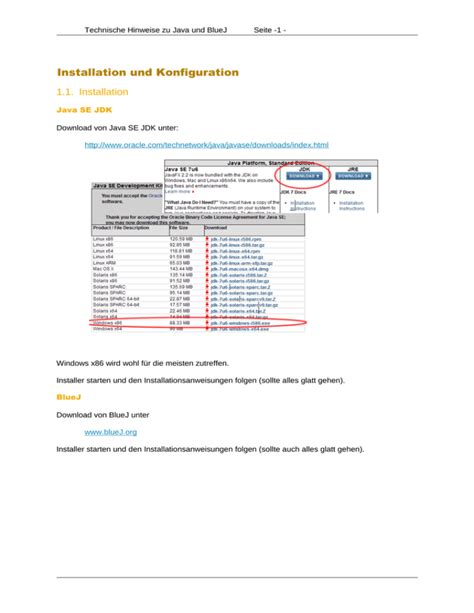 Java and BlueJ Installieren 的图像结果