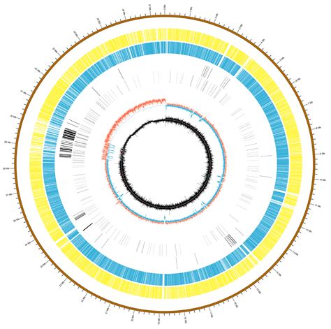 Genomic Analysis of Penicillium griseofulvum CF3 Reveals Potential for ...