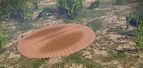 Ancient Animals and Organisms (Palaeontology) | Personality Cafe