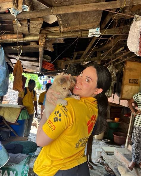 Last month I had the opportunity to participate as a volunteer in a Mission Rabies vaccination ...