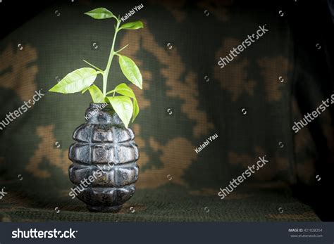 Image result for Fragmentation Shell