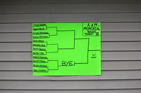 Treasuring Simplicity: Trip to Michigan: Baggo Tournament and Birthday ...