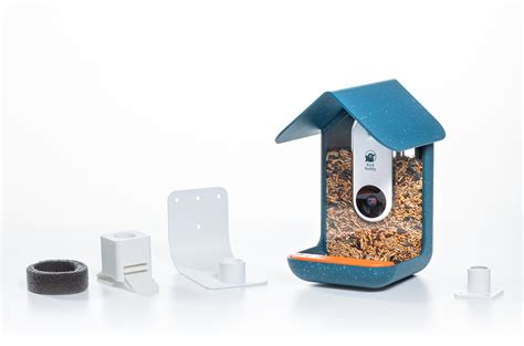 Bird Buddy Smart Bird Feeder | The Coolector