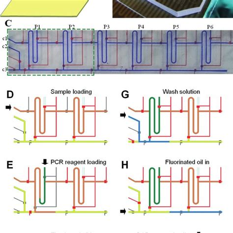 Continuous Flow Microfluidics 的图像结果