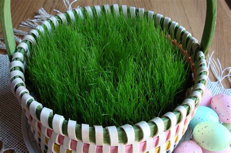 Real Grass Easter Basket at Dolores Bennett blog