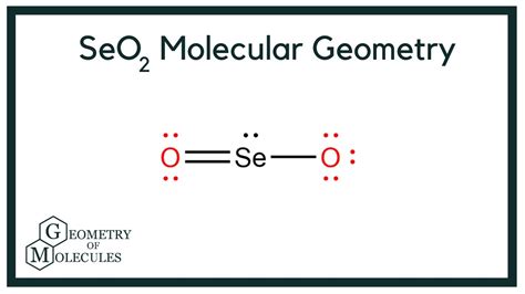 SeO2 Molecular Geometry, Shape and Bond Angles(Selenium Dioxide)