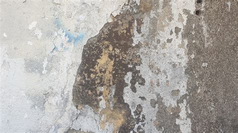 Prevent Mold and Mildew: How a Basement Floor Moisture Barrier Can ...